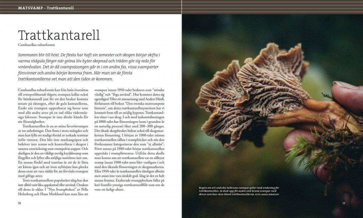 Svampbok för matälskare
