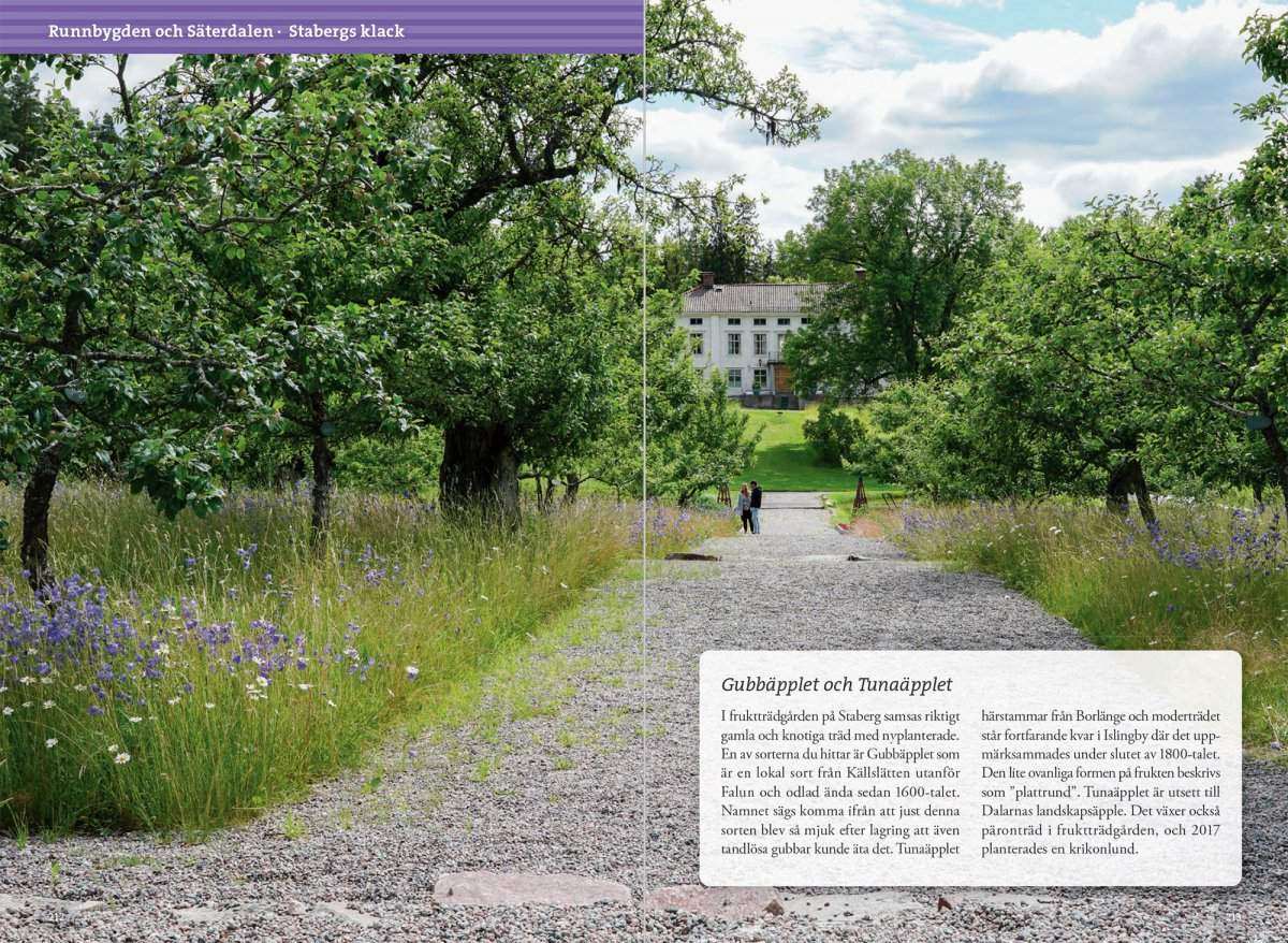 Vandra kring Falun och Borlänge 