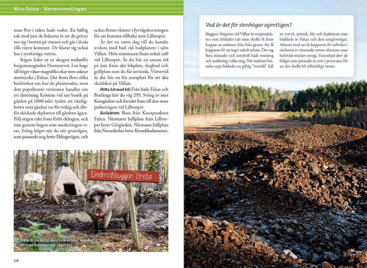 Vandra kring Falun och Borlänge 