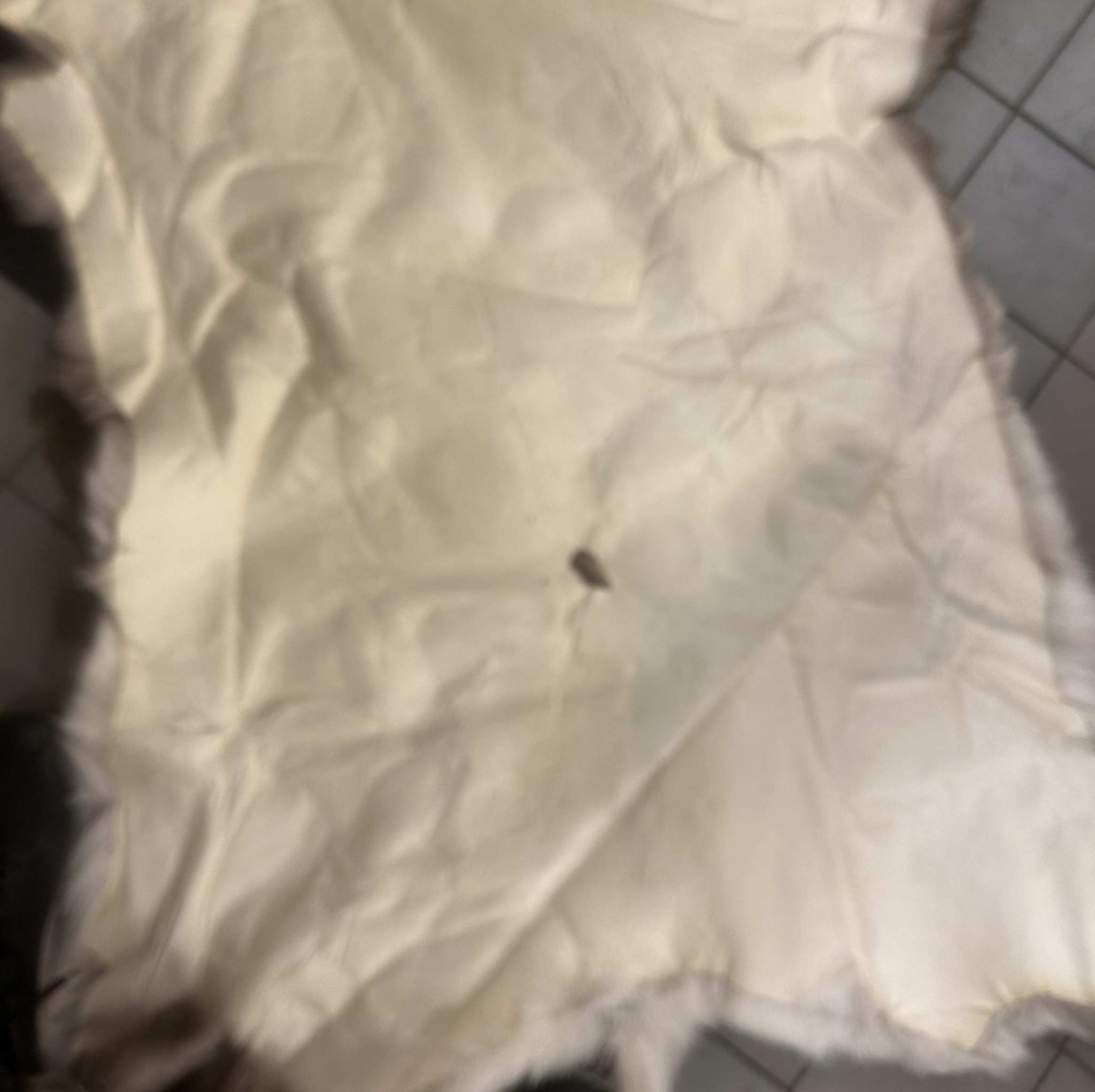 OUTLET Renskinn Ward Stur