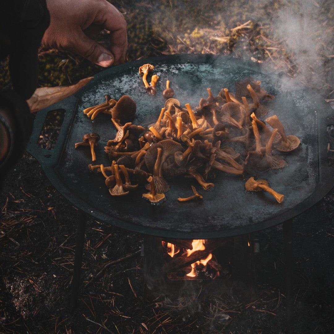 STEKHÄLLSPAKET VANDRING
