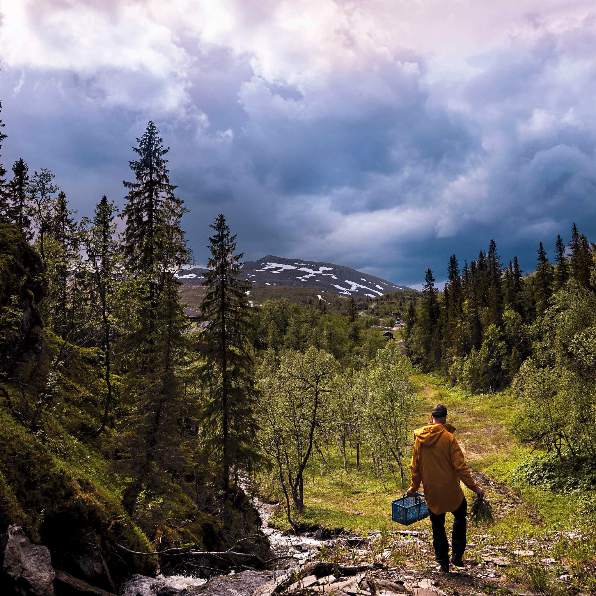 Receptbok Viltplockat kokboken