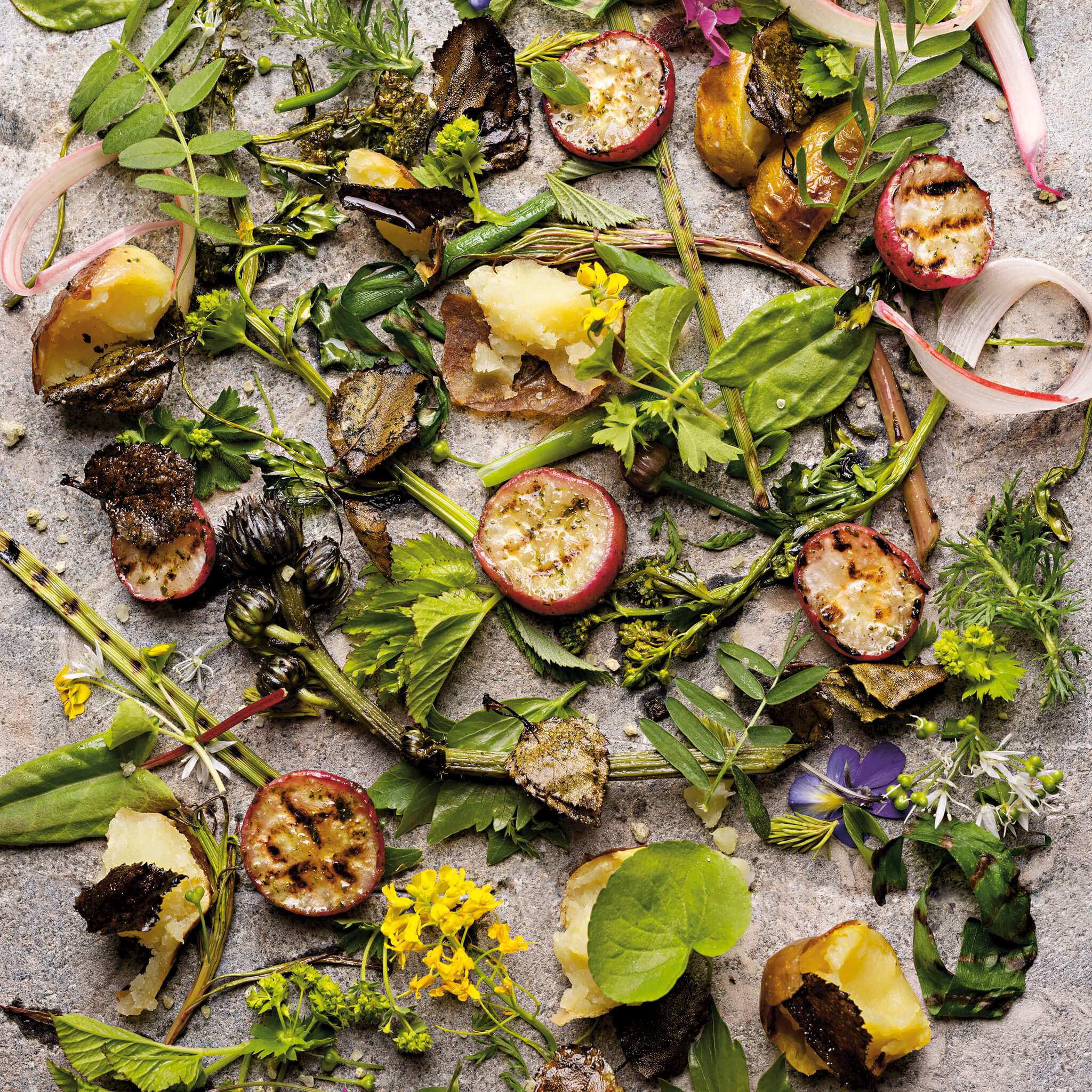 Receptbok Viltplockat kokboken