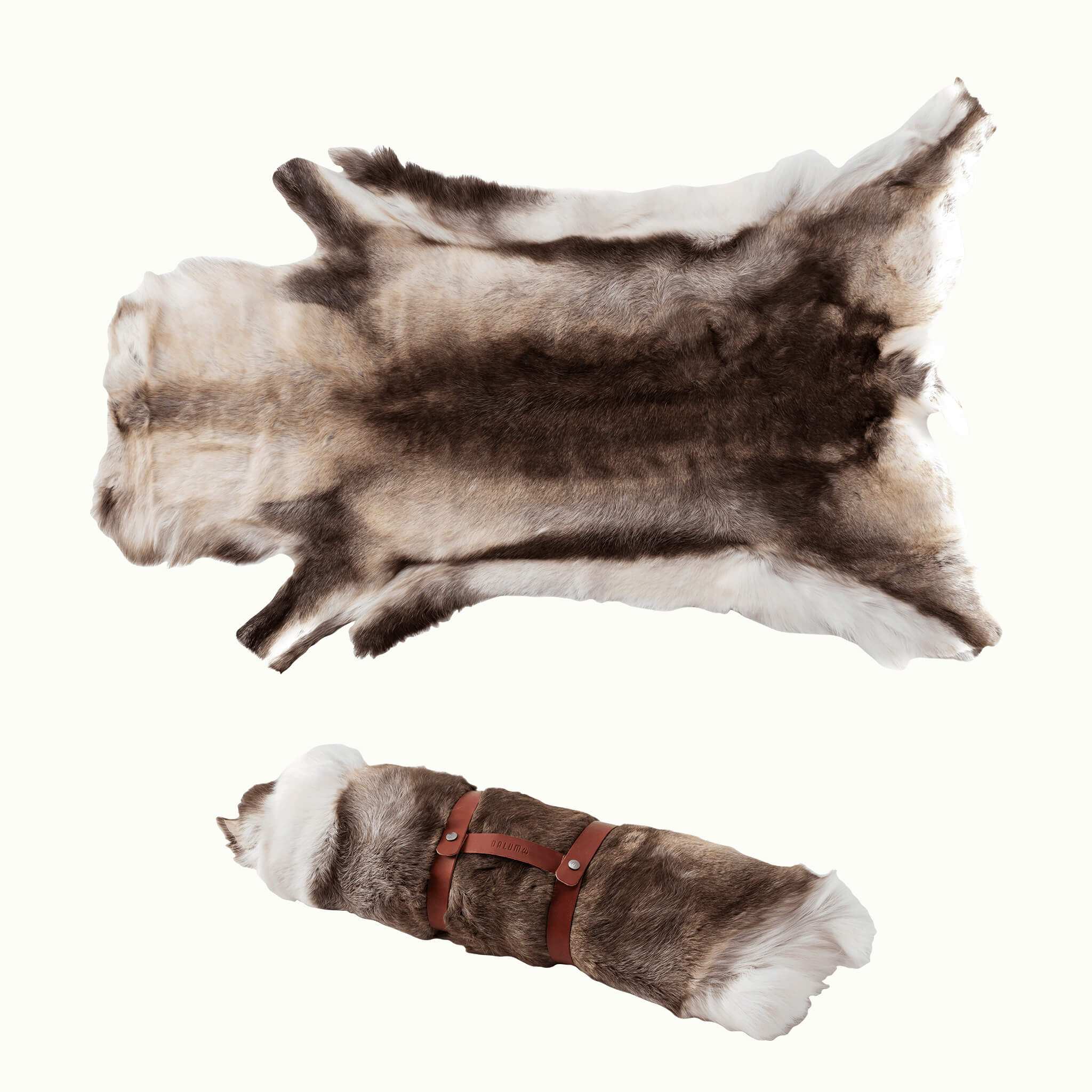 Renskinn Ward Stur Sarv