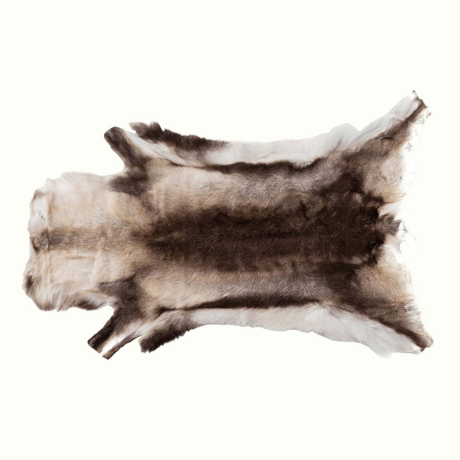 OUTLET Renskinn Ward Stur Sarv