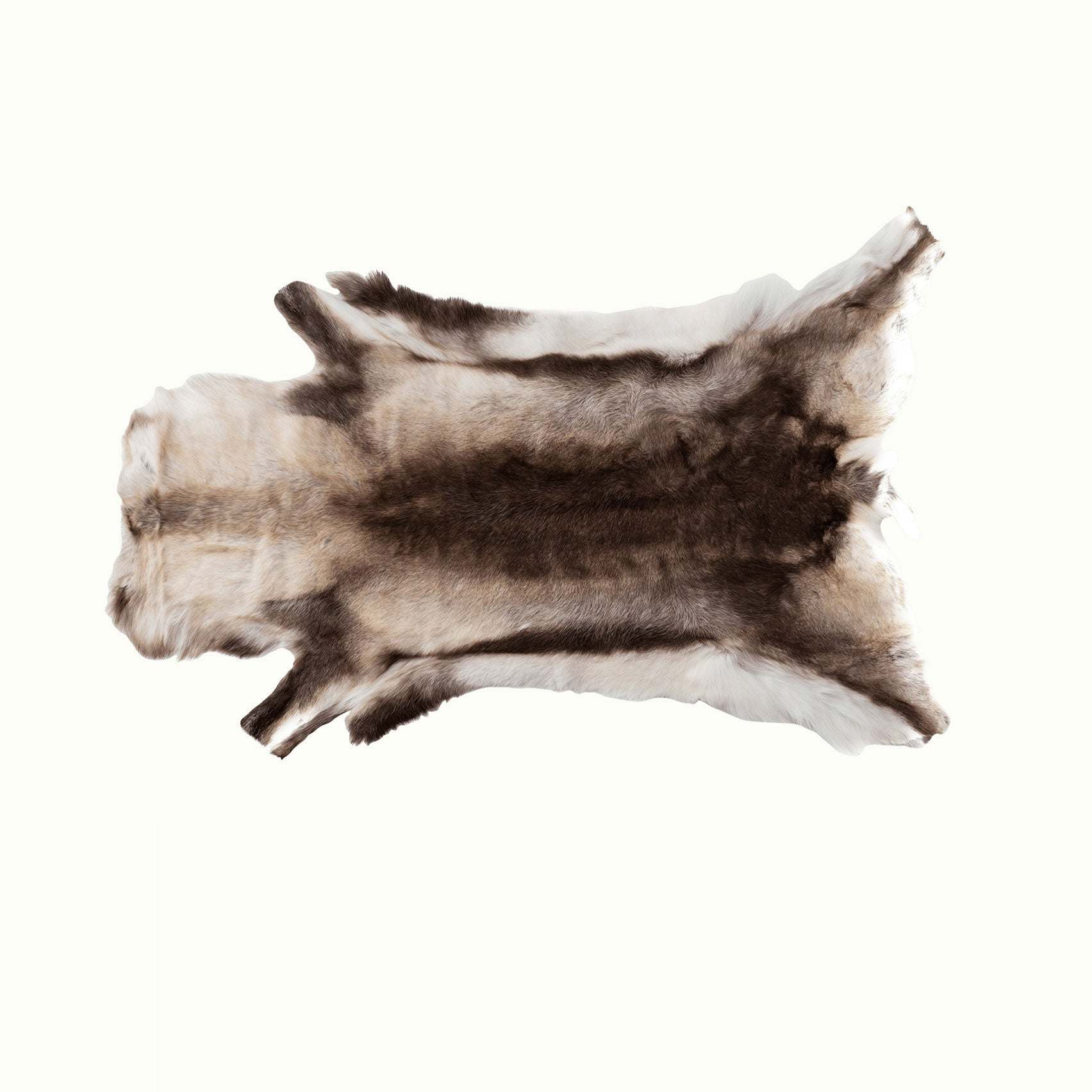 OUTLET Renskinn Ward Stur