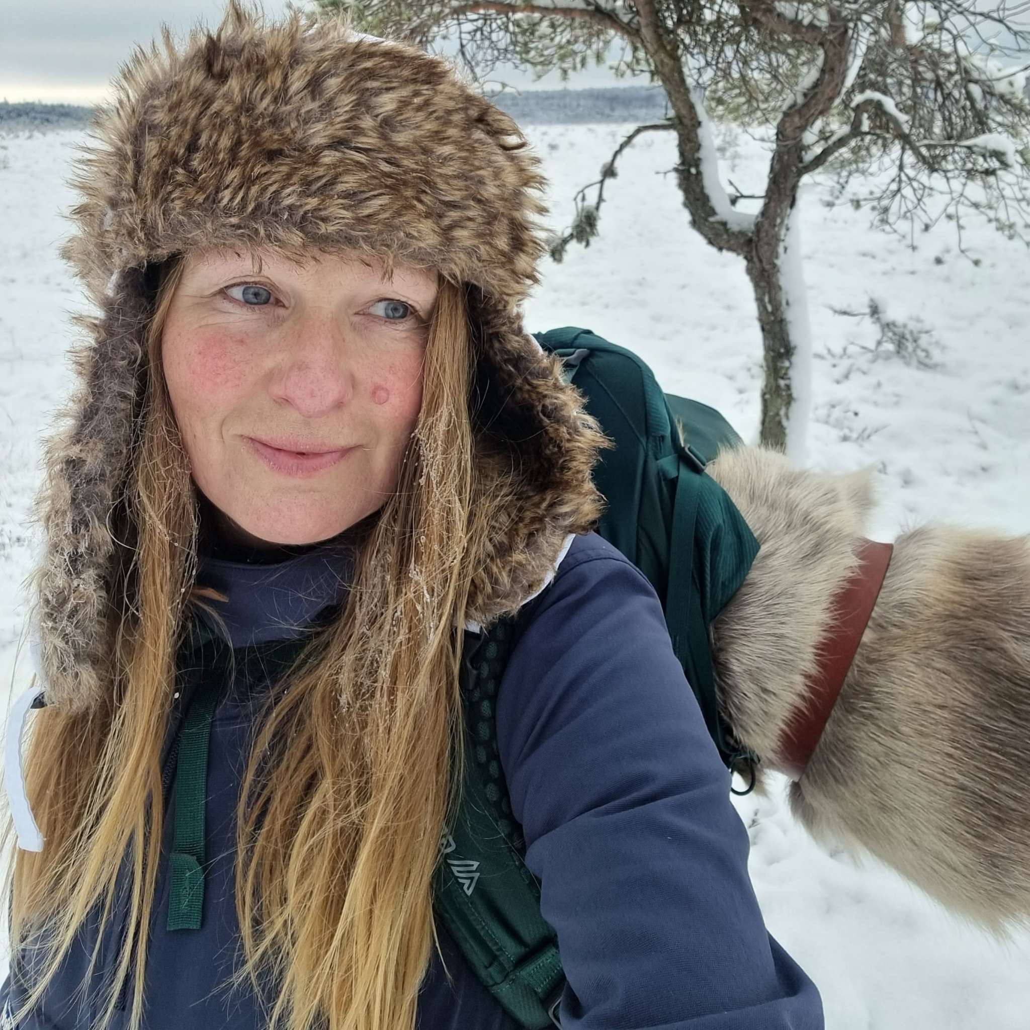 Renskinn Ward Stur Sarv