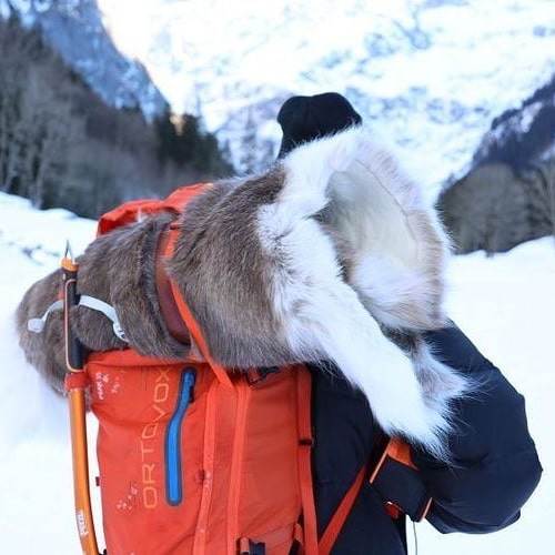 Renskinn Ward Stur Sarv