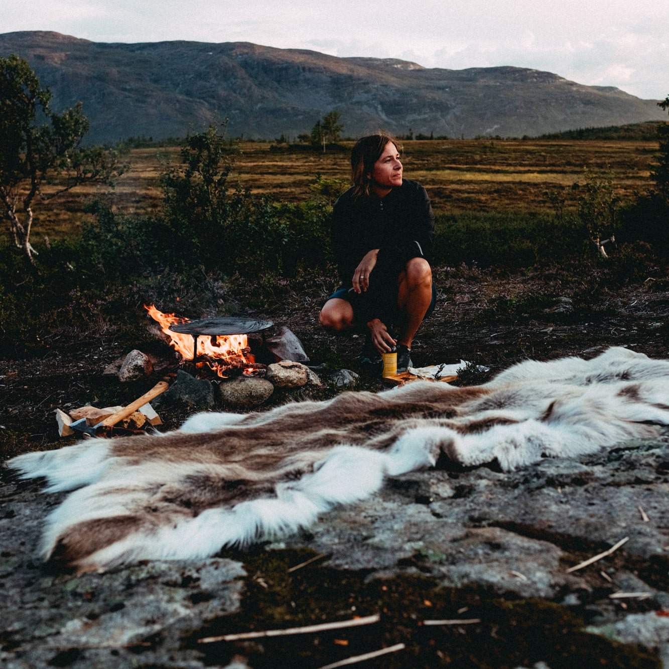 Renskinn Ward Stur Sarv