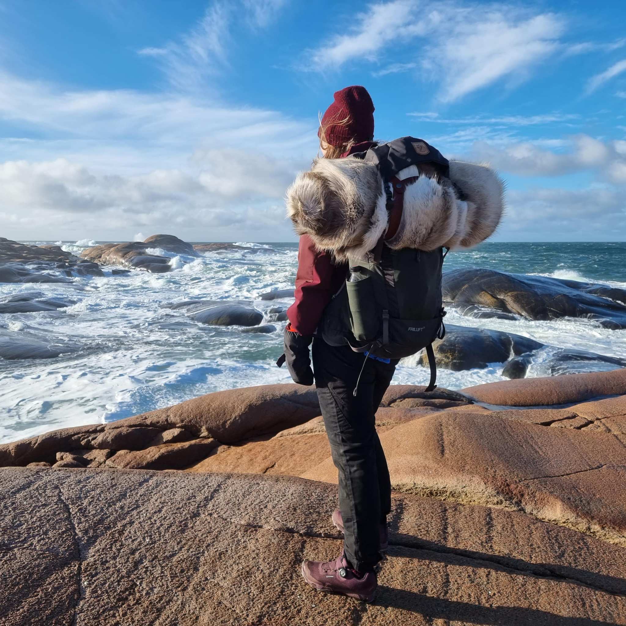 Renskinn Ward Stur Sarv