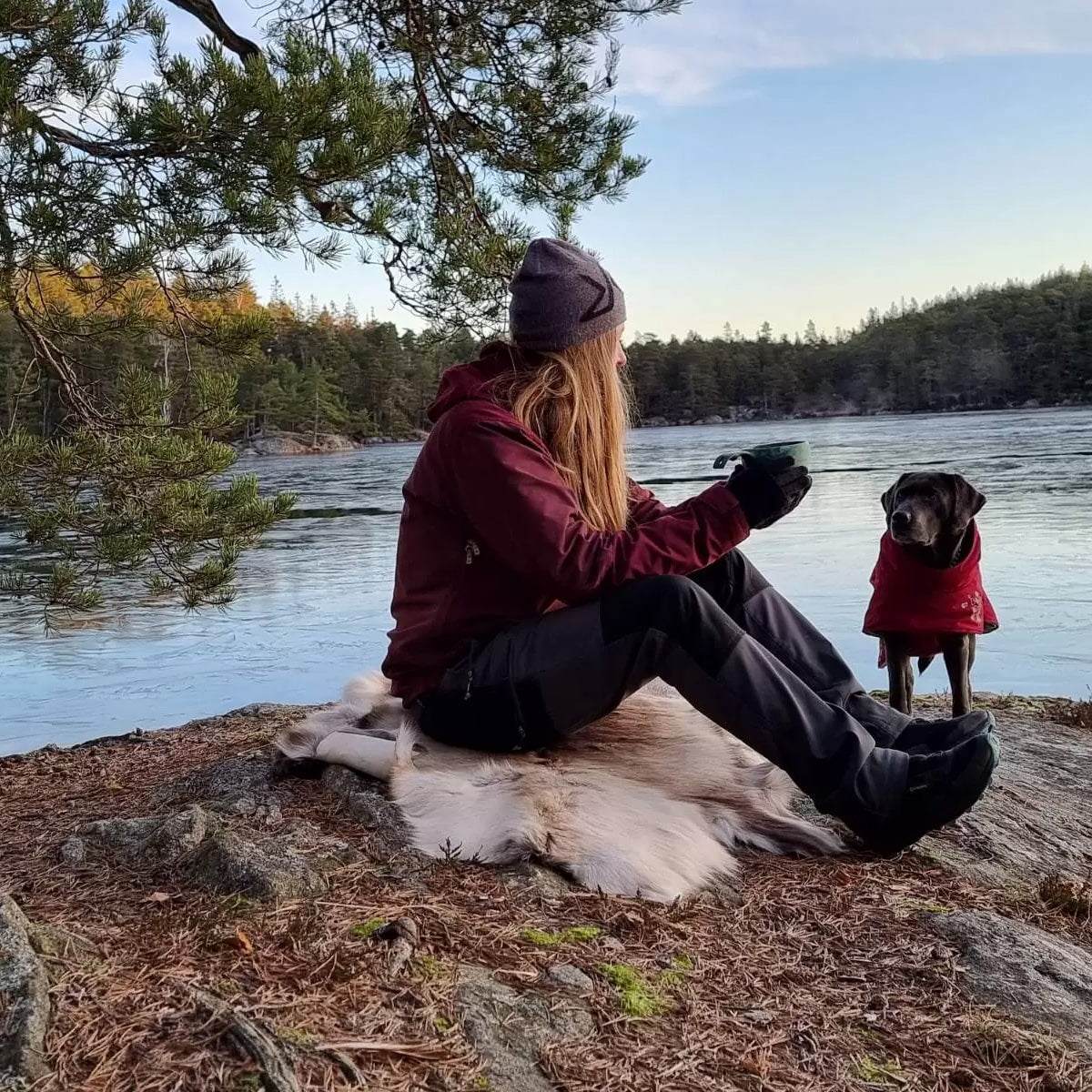 Renskinn Ward Stur Sarv