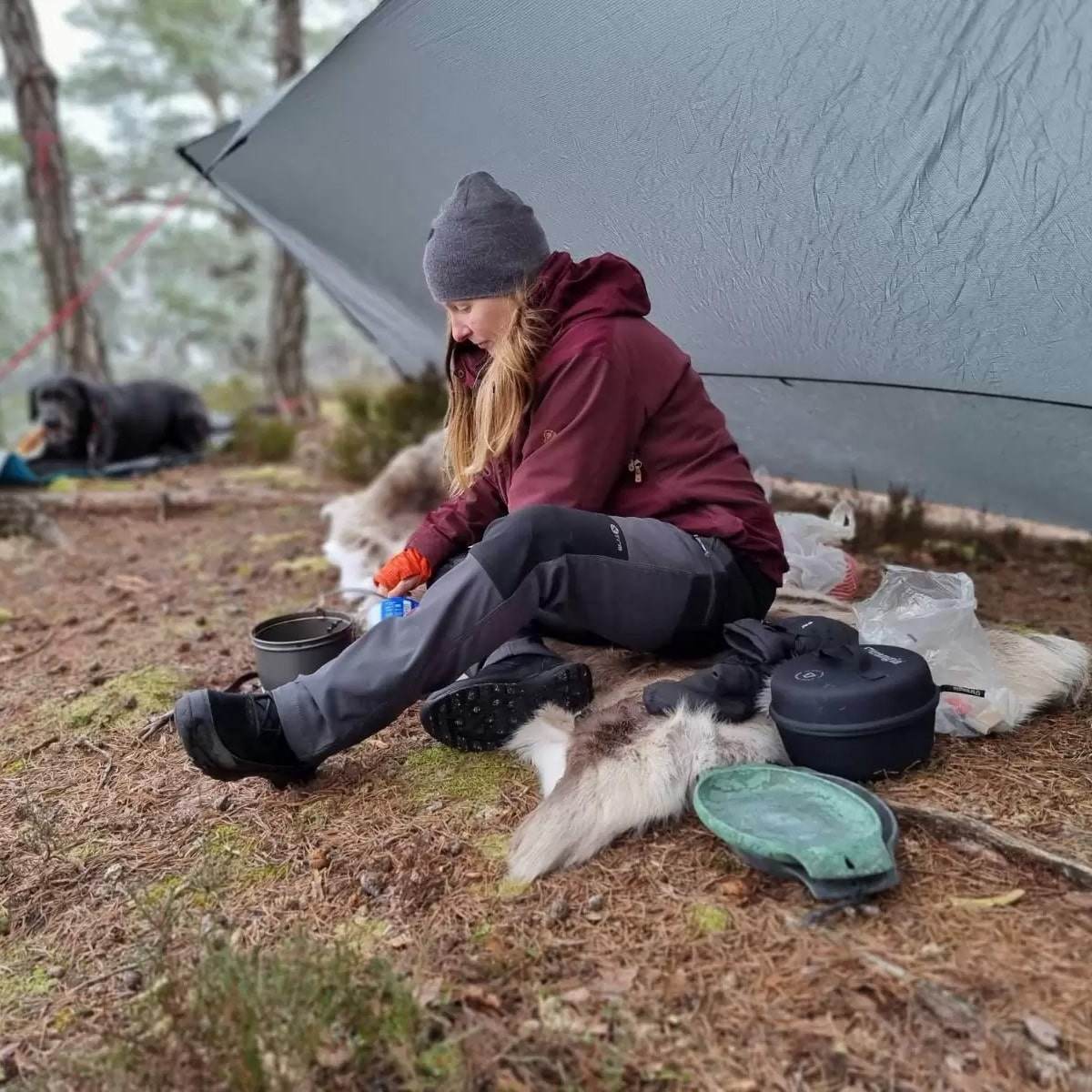 Renskinn Ward Stur Sarv